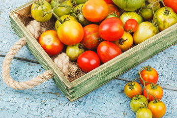 Set of ripe tomatoes in the wooden tray