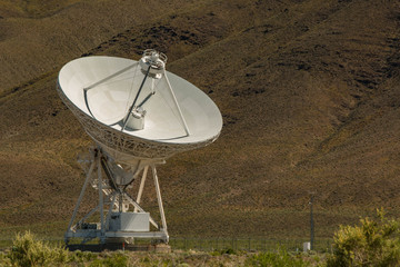 Large Dish Facing Right