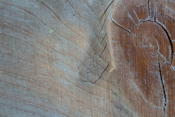  bar texture
