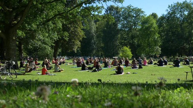 People in park doing Yoga