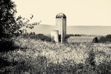 Black and white photo of a landscape with a silo and barn in the distance near Rectortown Virginia in Fauquier County. © cindygoff