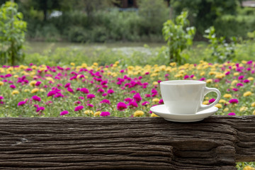 white ceramic coffee cup in the nature