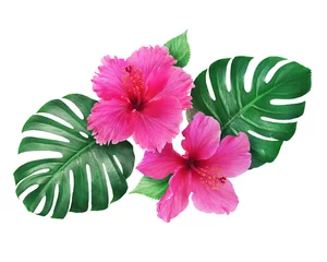 Foto op Plexiglas Bloemen Bright pink hibiscus flowers with monstera leaves isolated on white background