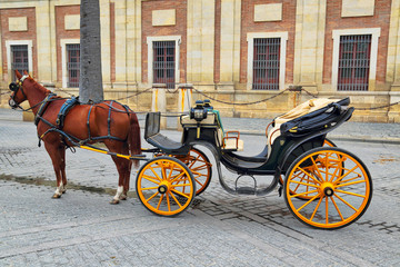 Horse carriage in front of Seville Santa Maria cathedral