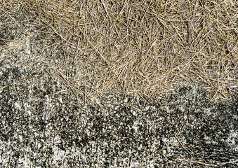 Dried straw falls on the concrete floors