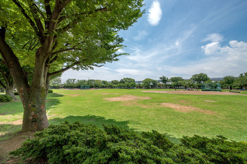 新小岩公園