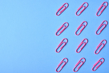 Pink paper clips isolated on blue background, close up, copy space. Top view, flat lay. Back to school, college, education concept