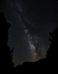 Milky Way Between Trees