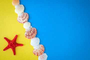 Frame of shells of various  size and red starfish on a blue background.  Flat lay.