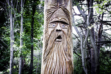 Old Man Tree