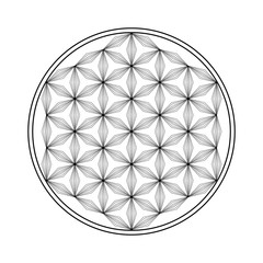 Flower of life vector  icon