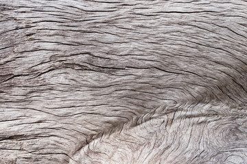 Vintage old wood texture background