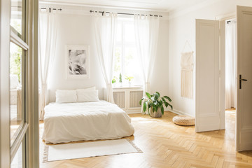Poster above white bed with pillows in bright bedroom interior with plant and window. Real photo