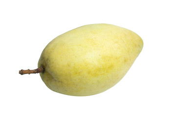 ripe big mango fruit isolated