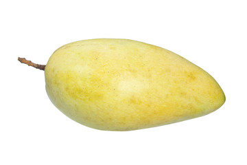 ripe big mango fruit isolated