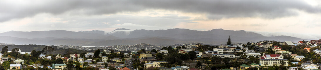 Fototapeta na wymiar Residential area in Wellington, New Zealand