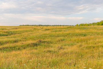 field of the Chuvash Republic