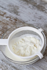 Kefir fungus