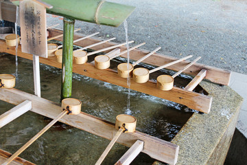 明治神宮 手水舎