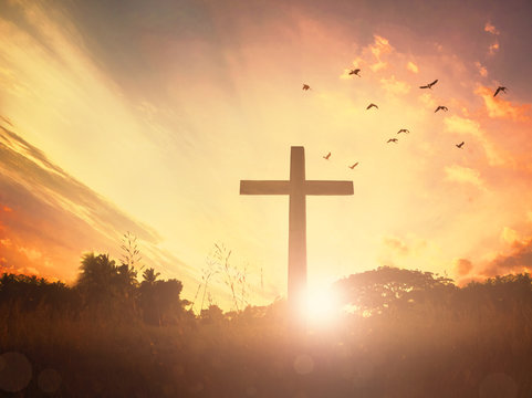 Concept conceptual black cross religion symbol silhouette in grass over sunset or sunrise sky