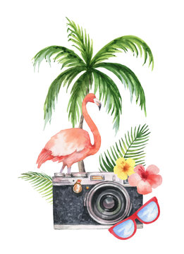 Watercolor vector card with camera, palm tree, flowers, tropical leaves and pink Flamingo isolated on white background.