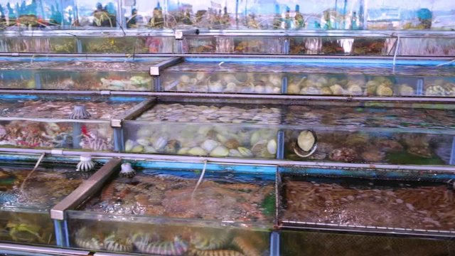 Various live seafood for sale at a local fresh seafood market and restaurant.