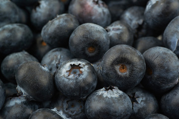 Surface coated with the blueberries