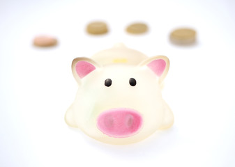 Piggy bank looking into lens with coins in background.