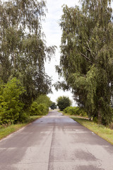 Fototapeta premium old obsolete road