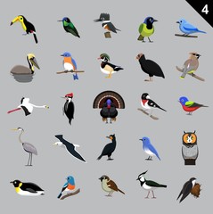 Various Birds Cartoon Vector Illustration 4