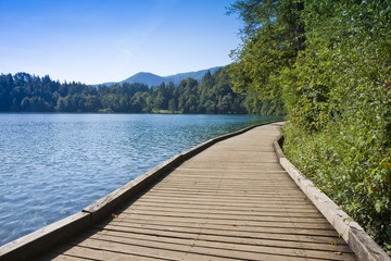 Wooden footpath along Bled lake with a wooden bench in summer season - (Europe - Slovenia)