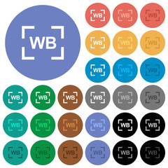 Fototapeta premium Camera white balance setting round flat multi colored icons