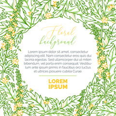 Vector summer linear floral background.