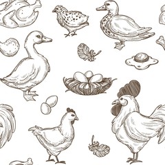 Poultry farm vector seamless sketch pattern background