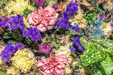 Close up group of pink, purple and yellow  flowers and leaves in colorful tone.