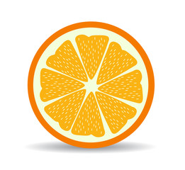 Fototapeta na wymiar vector citrus slices illustration