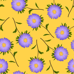 Purple Aster, Daisy on Yellow Background