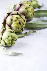 Fototapeta premium Fresh raw artichokes on grey background. Ripe organic artichoke flower with copy space