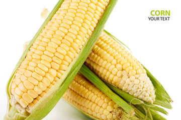 Fresh yellow corn cobs isolated on white background. Fresh vegetables.