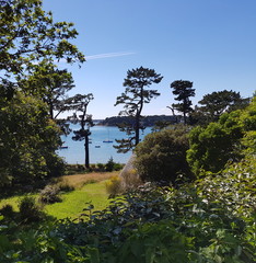paysage ,végétation et océan sur l'île aux moines
