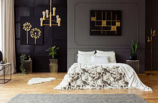 Black poster on grey wall above bed with white pillows in dark bedroom interior with plants. Real photo