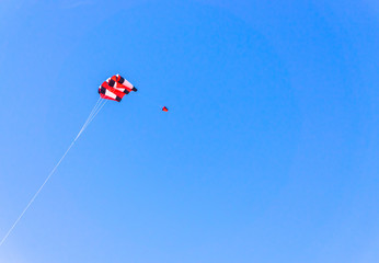 Naklejka na ściany i meble Flying a kite on the beach