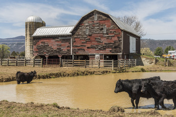 Old red barn 