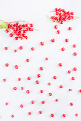 summer creative concept: rain from red currants