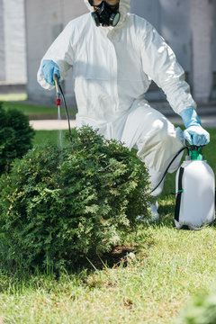 cropped image of pest control worker spraying pesticides on bush