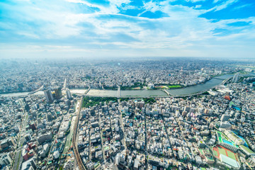 Asia Business concept for real estate and corporate construction - panoramic modern city urban skyline bird eye aerial view under sun & blue sky in Tokyo, Japan