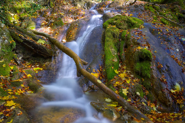 La Vaioaga Waterfall, Beusnita National Park, Romania