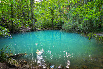 beautiful pond in the woods, Ochiul Beiului, Caras Severin county, Romania - 213600350