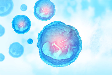 Human fetus on scientific background