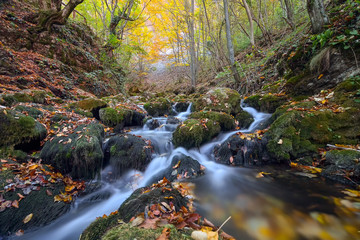 La Vaioaga Waterfall, Beusnita National Park, Romania